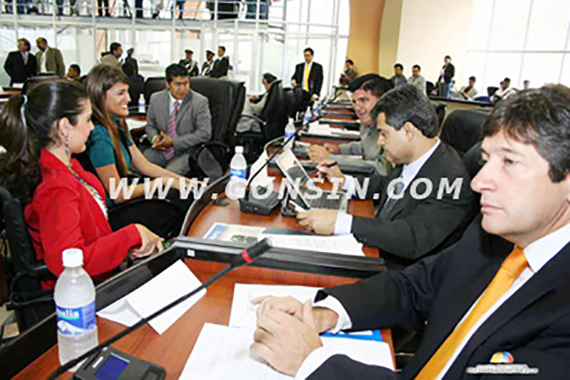 Gonsin At Ecuadorian Constituent Assembly Gonsin At Ecuadorian Constituent Assembly